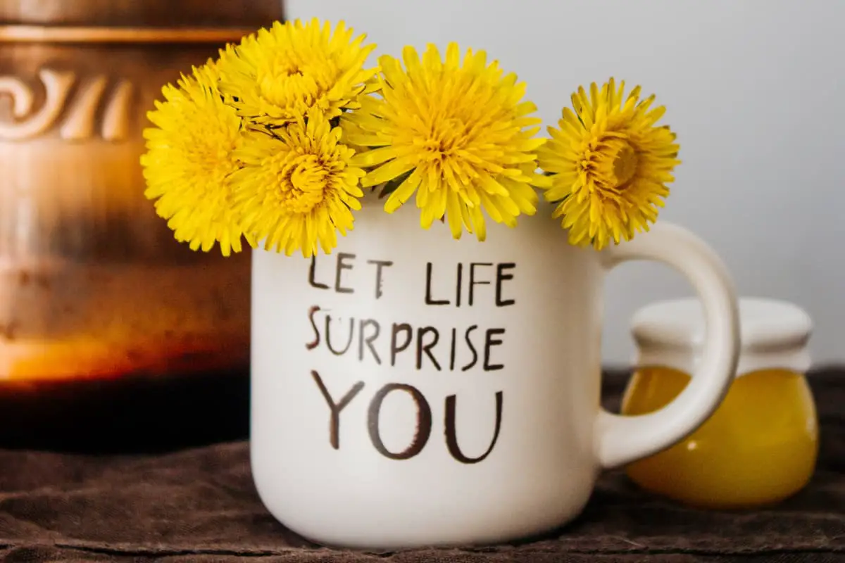 mug that reads let life surprise you